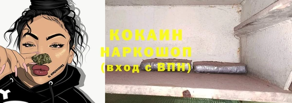 кокс Касимов