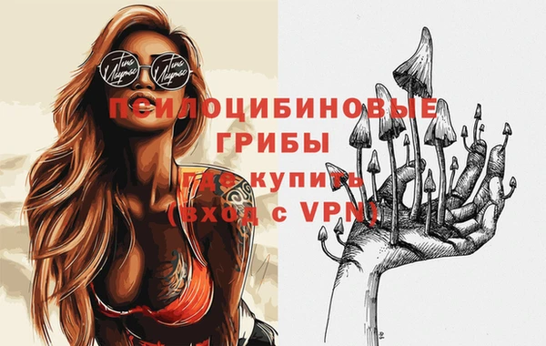 мескалин Каменка