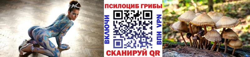 Галлюциногенные грибы MAGIC MUSHROOMS  Купить закладки  Верхняя Салда 